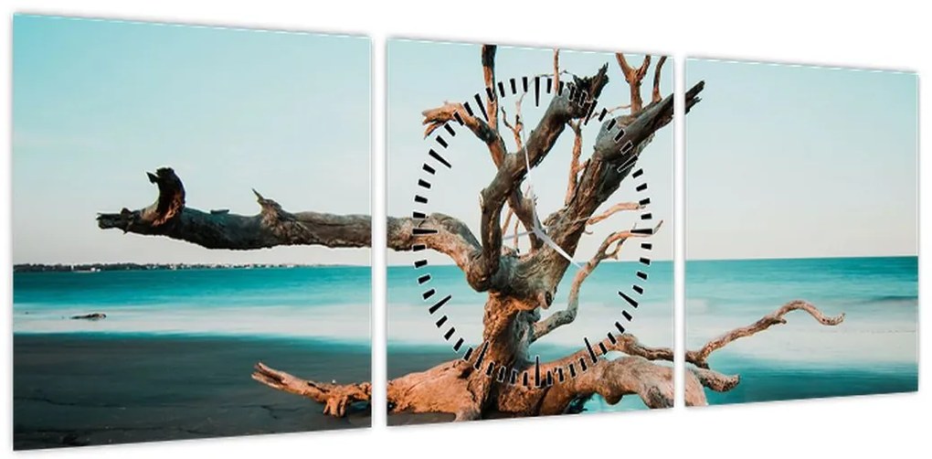 Obraz -  Wyłowiono na plaży (z zegarem) (90x30 cm)