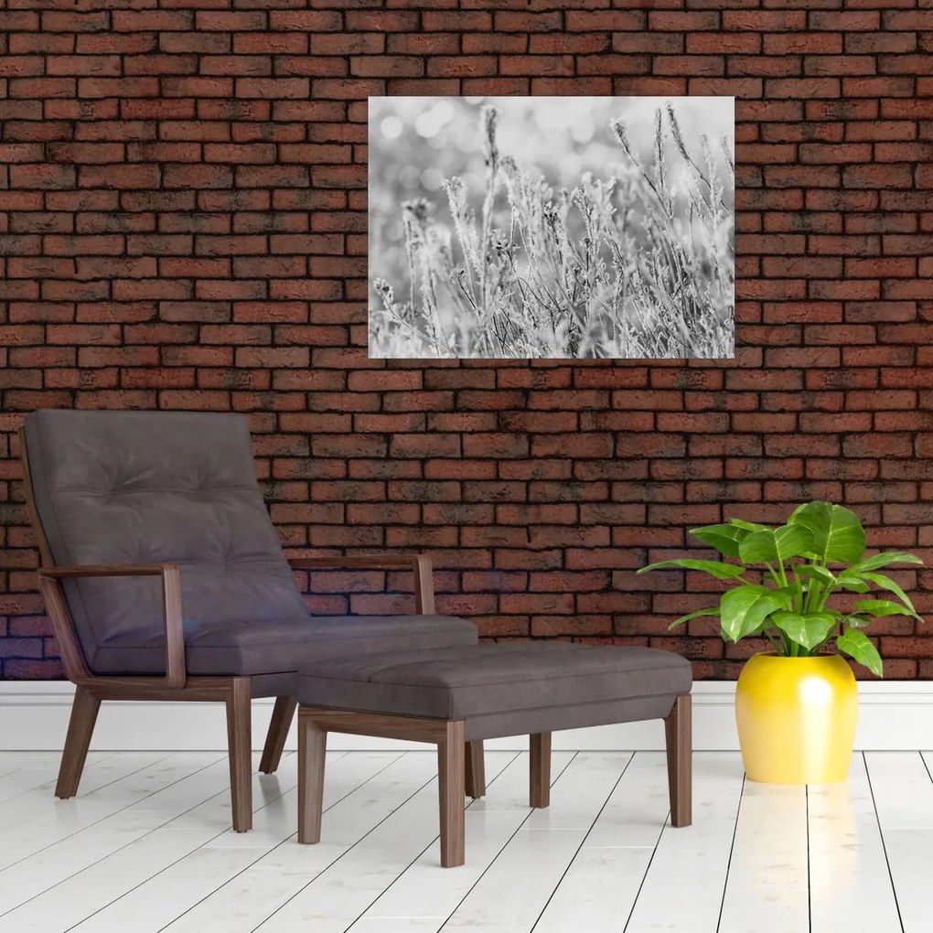 Obraz na szkle - Mroźna zima (70x50 cm)