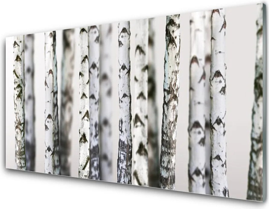 Panel Szklany Gęsta Korona Drzew