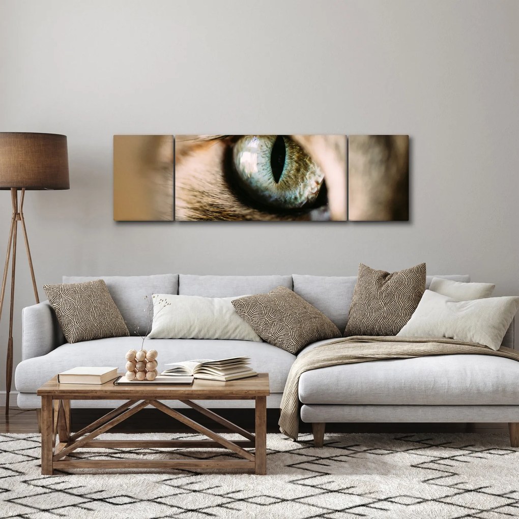 Obraz - Kocie oko (170x50 cm)