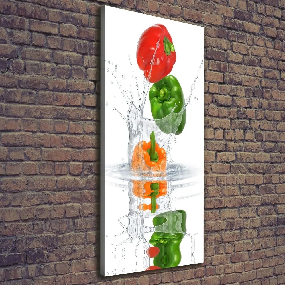Nowoczesny obraz canvas na ramie pionowy Papryki