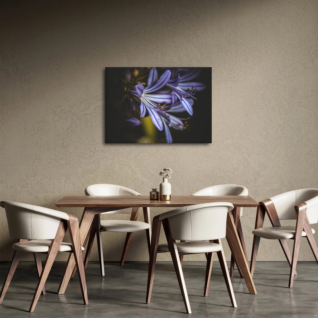 Obraz - Lilia (70x50 cm)