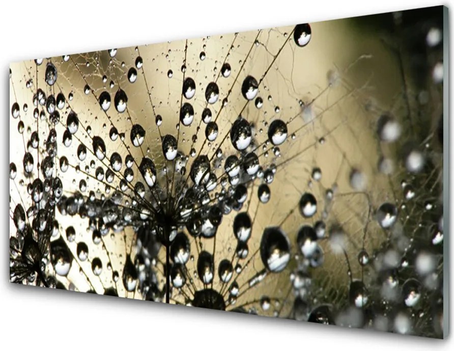 Szkło Dekoracyjne do Kuchni Lekkość Mniszka Lekarskiego