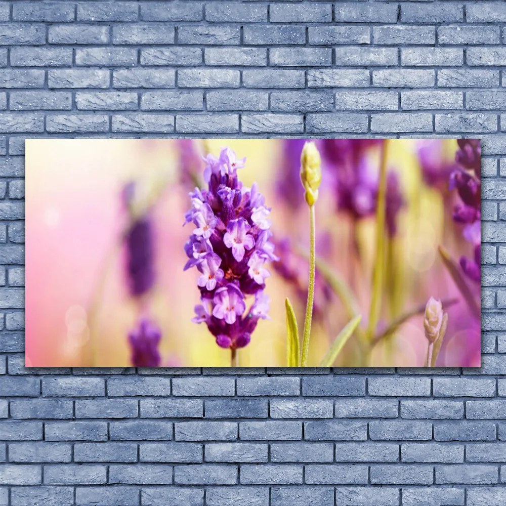 Obraz canvas Delikatność Polnych Kwiatów