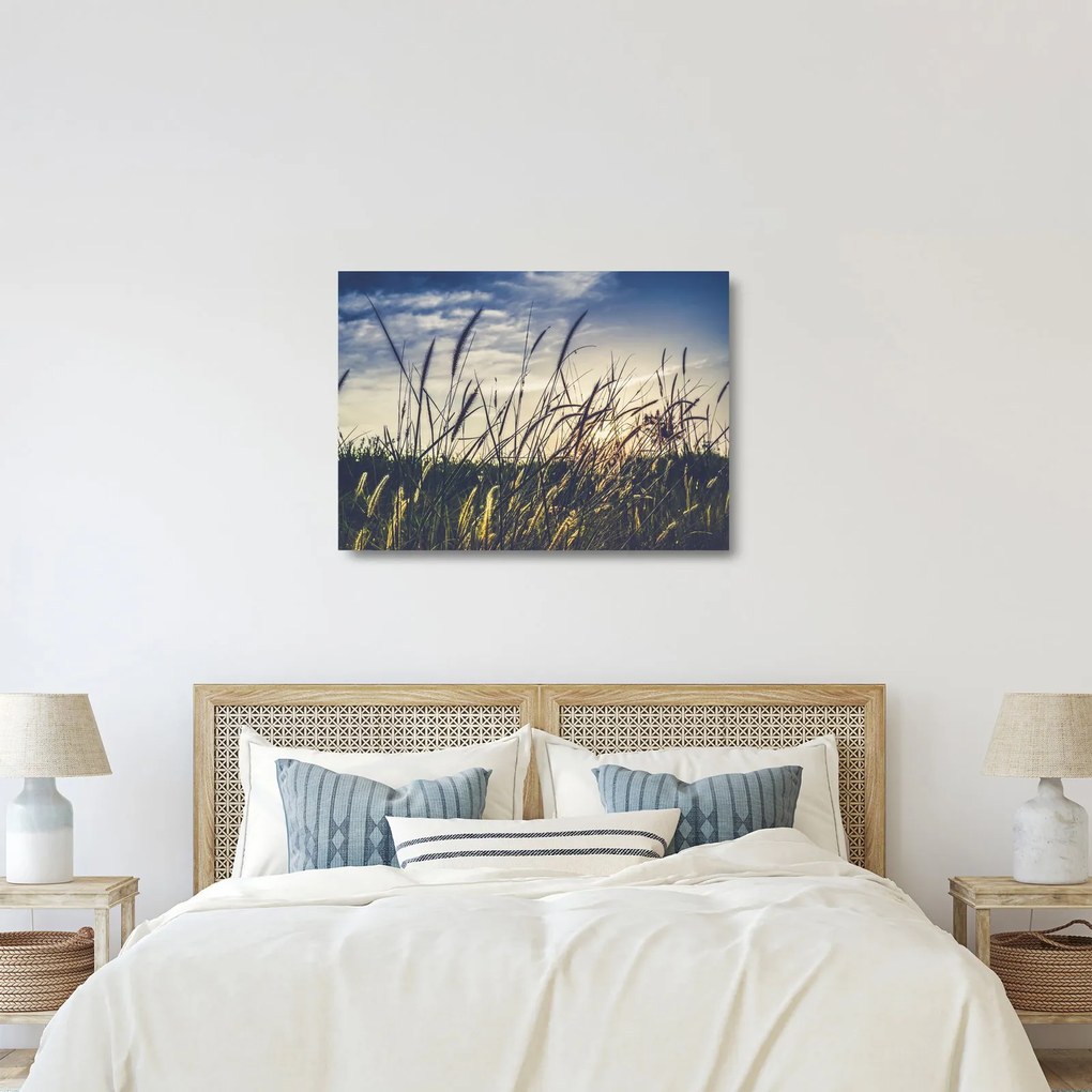 Obraz na szkle kwiatów łąkowych (70x50 cm)