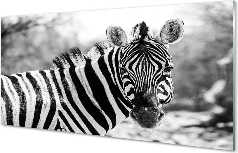 Panel szklany do Kuchni Zebra w Stylu Retro