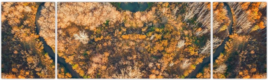 Obraz - Rzeka w kształcie serca (170x50 cm)