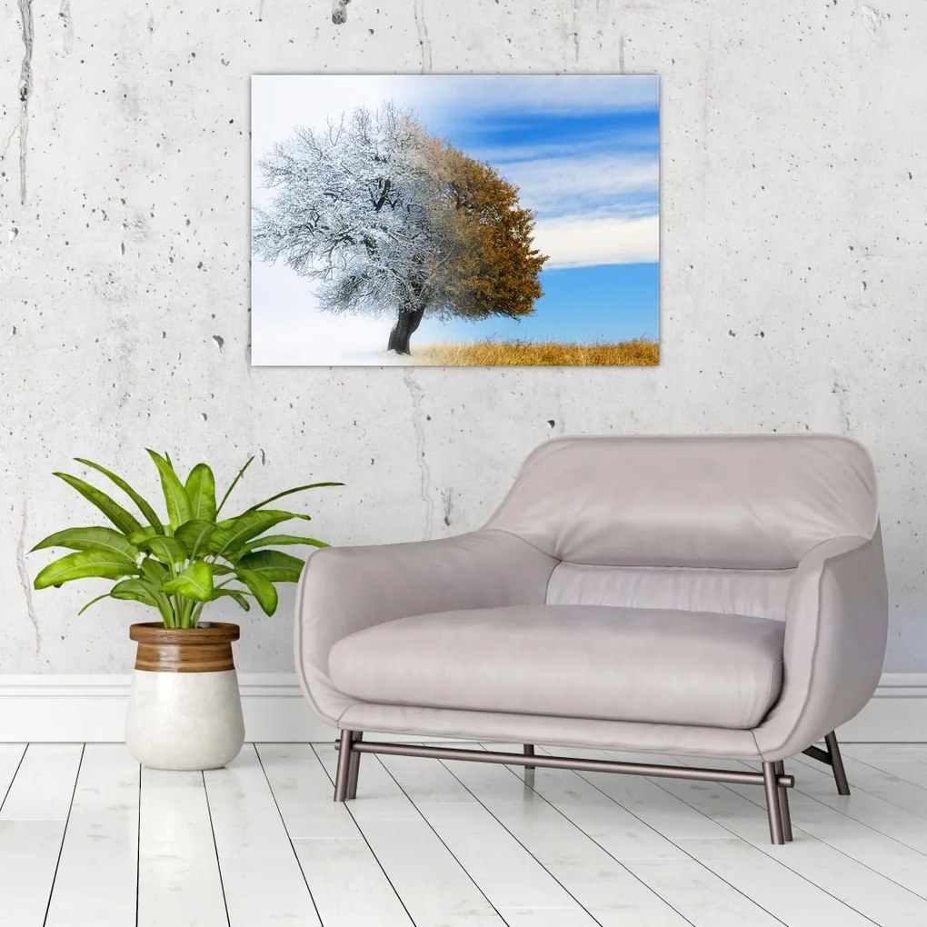 Obraz na szkle - Zmiana pór roku (70x50 cm)