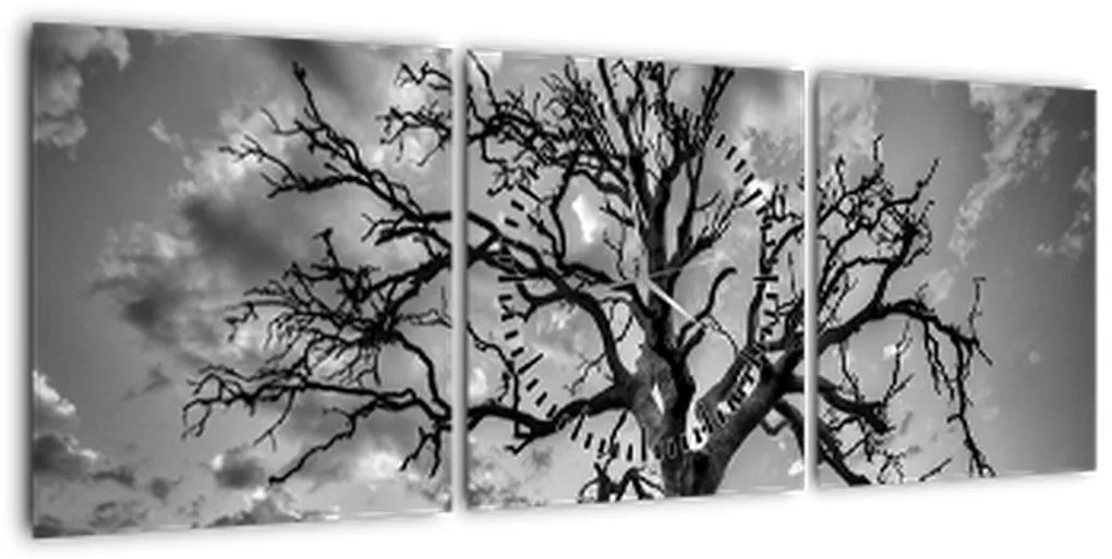 Obraz - Czarno - białe drzewo (z zegarem) (90x30 cm)