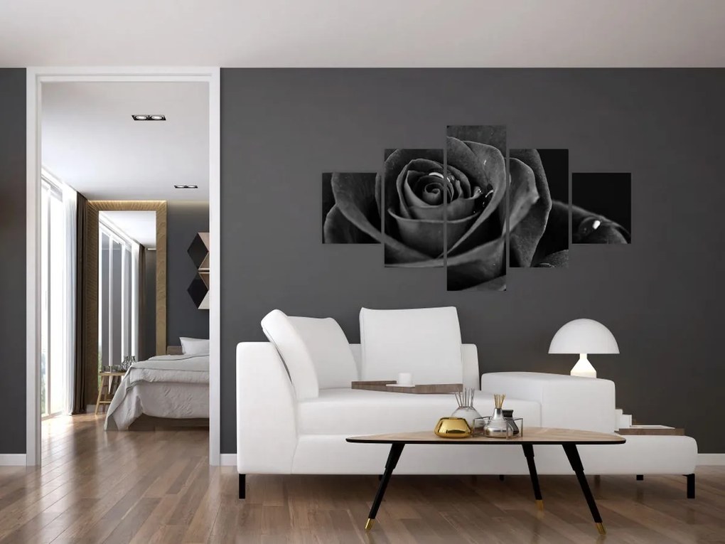 Obraz - Czerwona róża (125x70 cm)