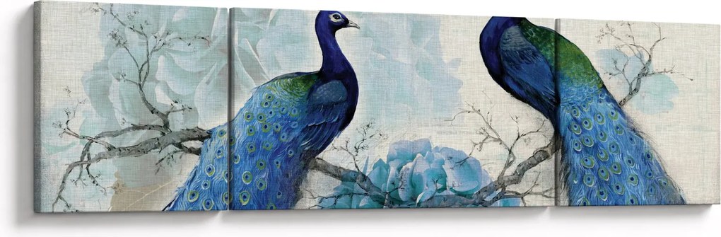 Obraz - Pawie tekstury (170x50 cm)