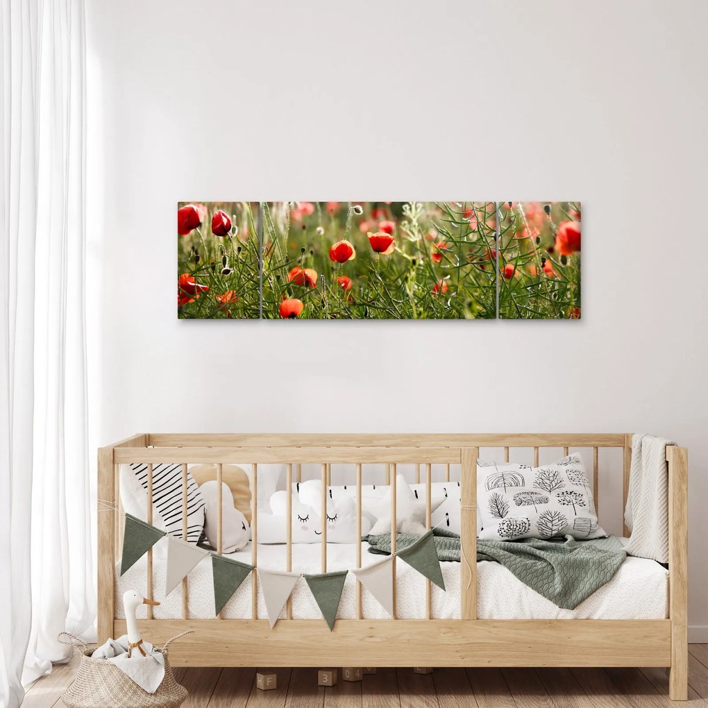 Obraz maków (170x50 cm)