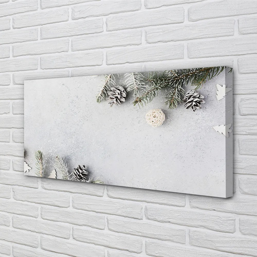 Obraz na płótnie Gałązki i Szyszki