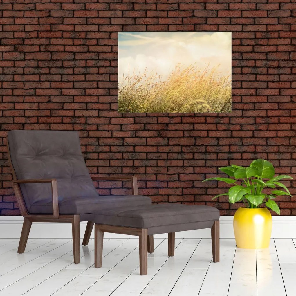 Obraz - Pole jesienią (70x50 cm)