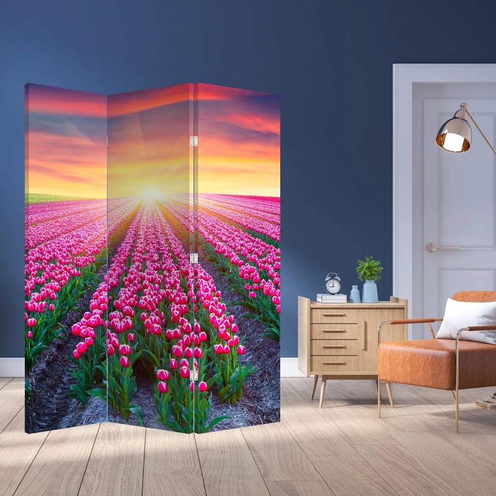 Parawan - Pole tulipanów ze Słońcem (126x170 cm)
