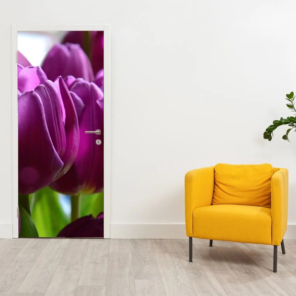 Fototapeta na drzwi - Tulipany (95x205cm)