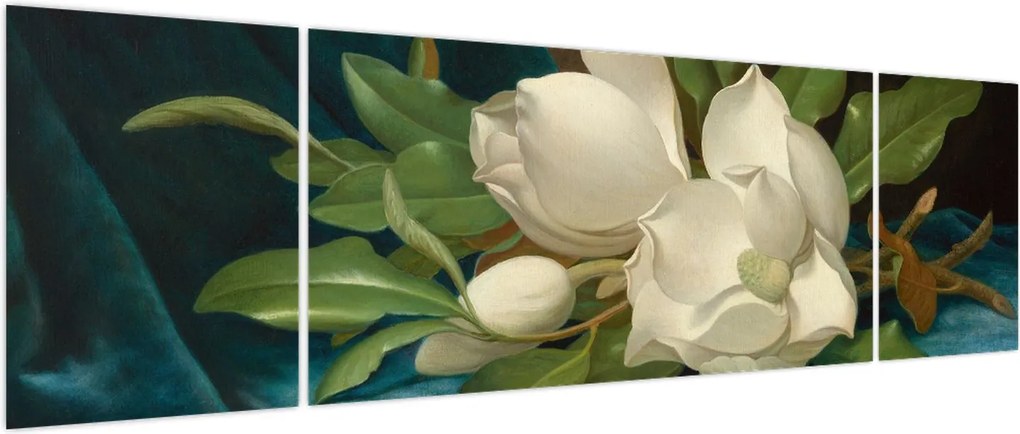 Obraz - Martin Johnson Heade, Giant Magnolias on a Blue Velvet Cloth, reprodukcje (170x50 cm)