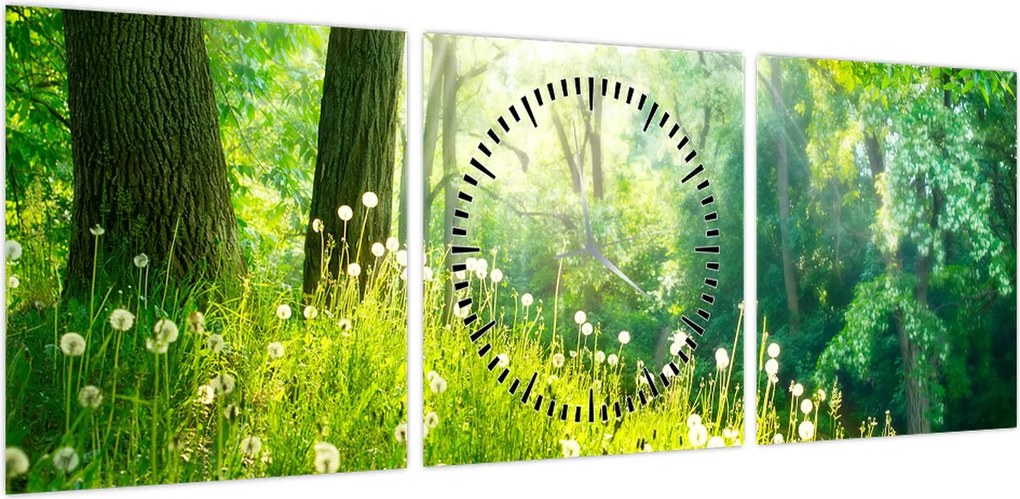 Obraz - Magiczna łąka pełna mniszków lekarskich (z zegarem) (90x30 cm)