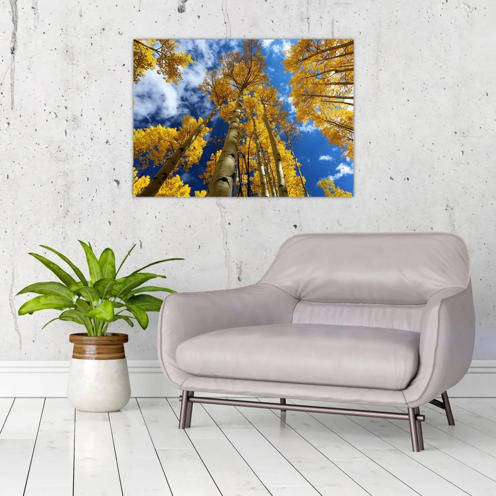Obraz na szkle - Aspen (70x50 cm)