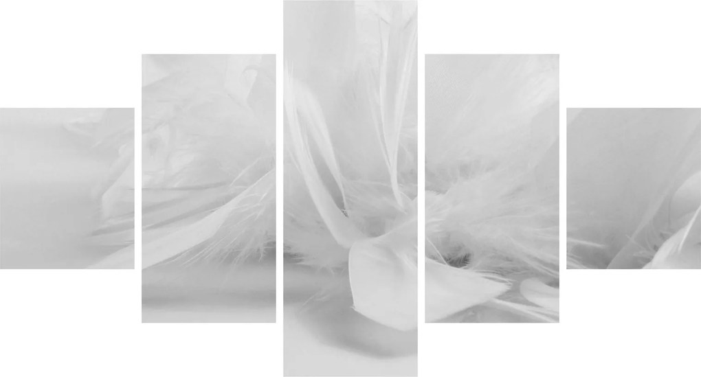 Obraz - Pióra (125x70 cm)