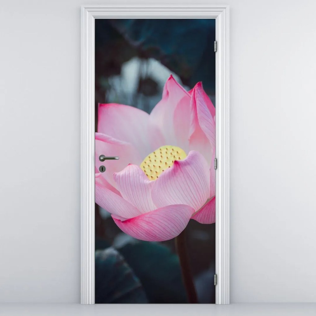 Fototapeta na drzwi - Różowe kwiaty (95x205cm)
