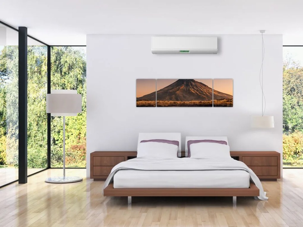 Obraz odbicia góry Taranaki, Nowa Zelandia (170x50 cm)