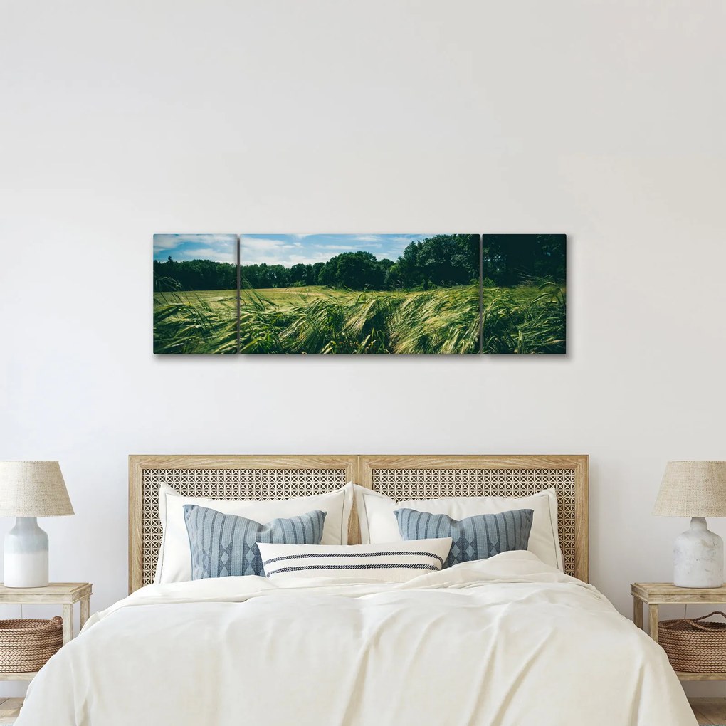 Obraz łąki i lasu (170x50 cm)