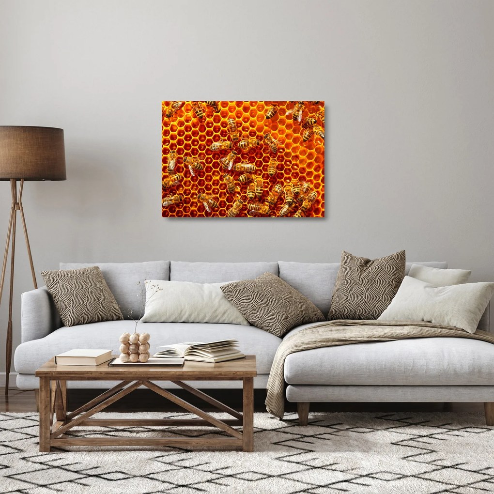 Obraz na szkle - Plaster miodu (70x50 cm)