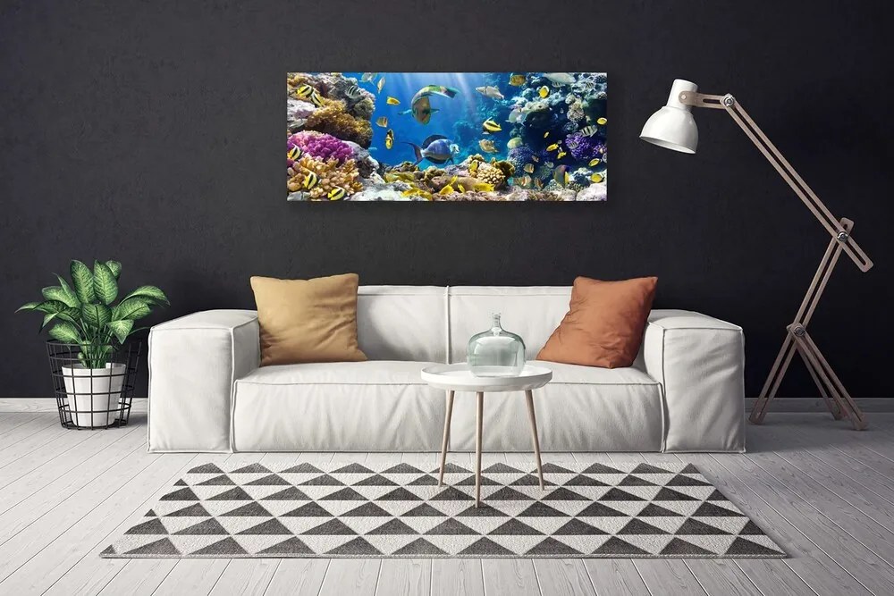 Duży obraz na płótnie Kolorowa Rafa Koralowa