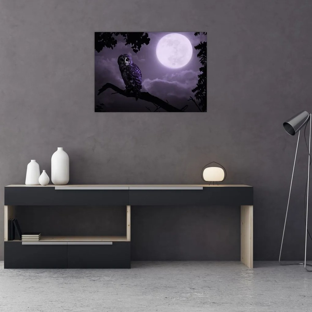 Obraz na szkle - Nocna sowa, fioletowy (70x50 cm)