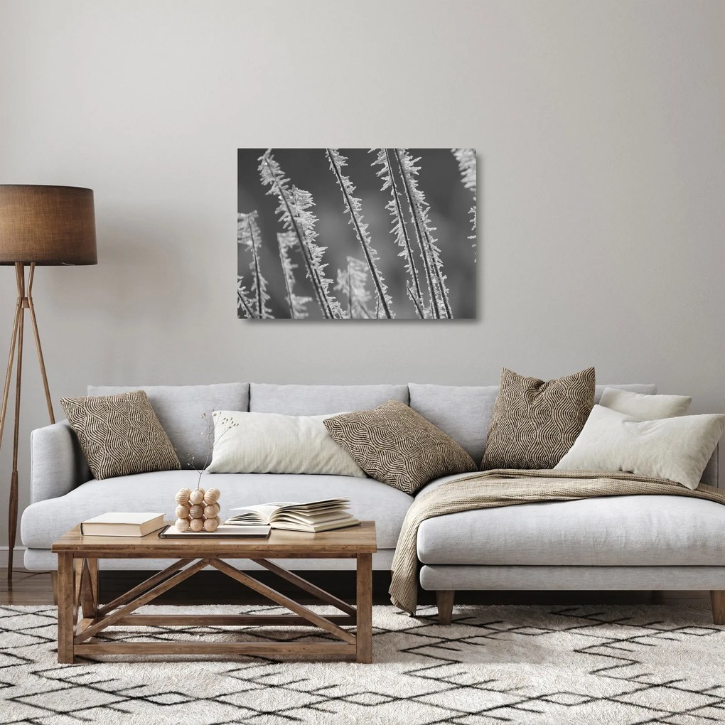 Obraz na szkle - Mroźne zimno (70x50 cm)