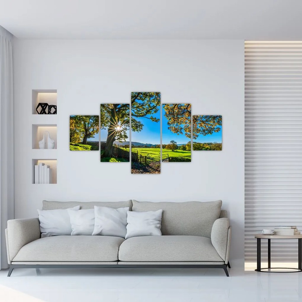 Obraz - widok pola (125x70 cm)