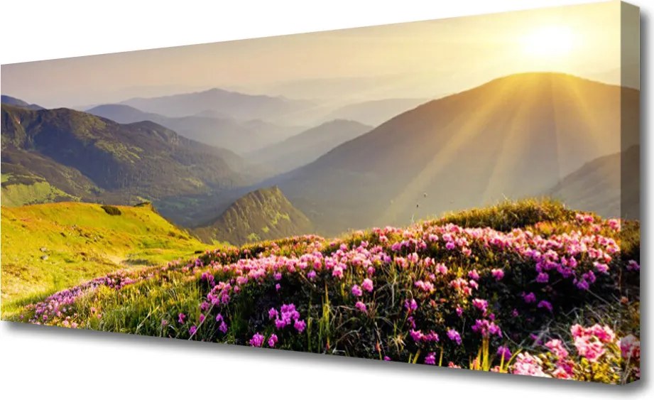 Obraz canvas na ścianę Panorama Górskiej Hali