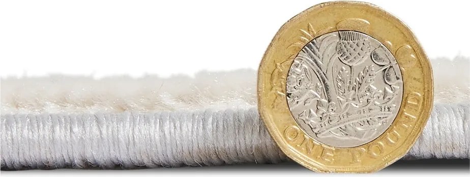 Szaro-beżowy dywan 220x160 cm Apollo – Think Rugs