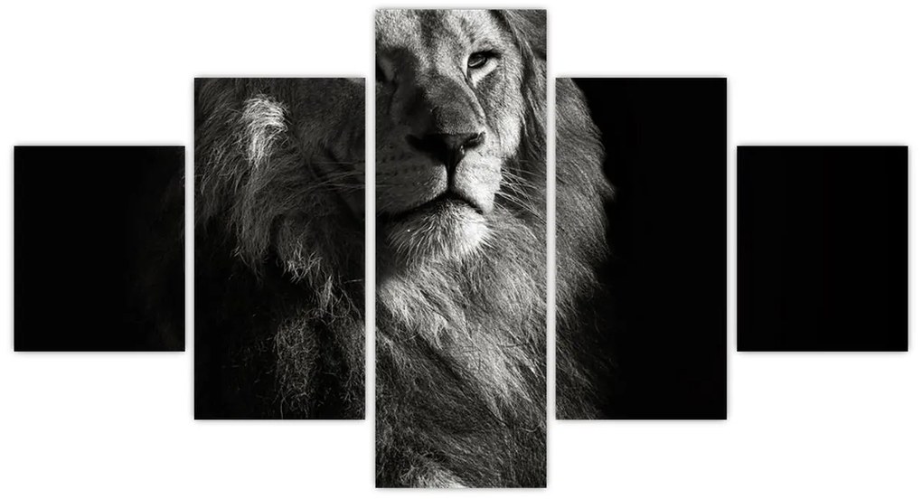 Obraz - Lew (125x70 cm)