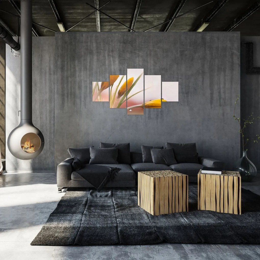Obraz - Wiosenne kwiaty (125x70 cm)