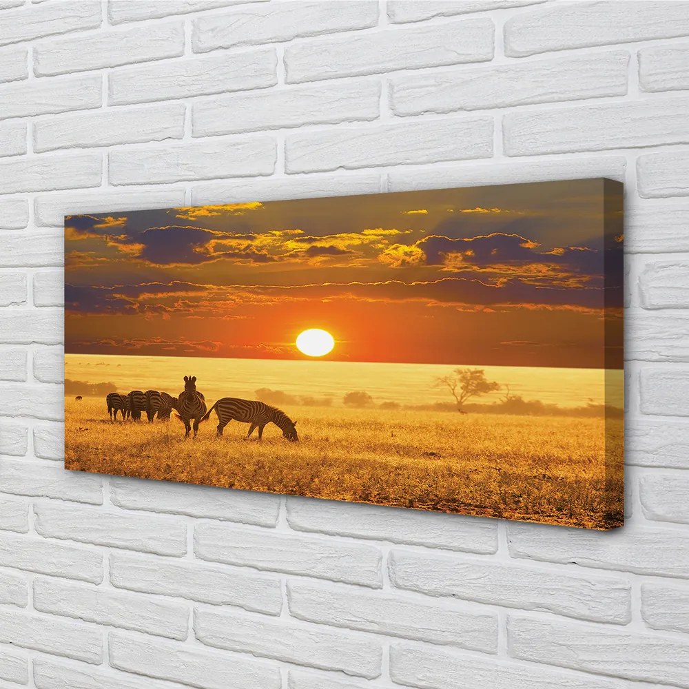 Fotoobraz na płótnie Zebry o Zachodzie Słońca
