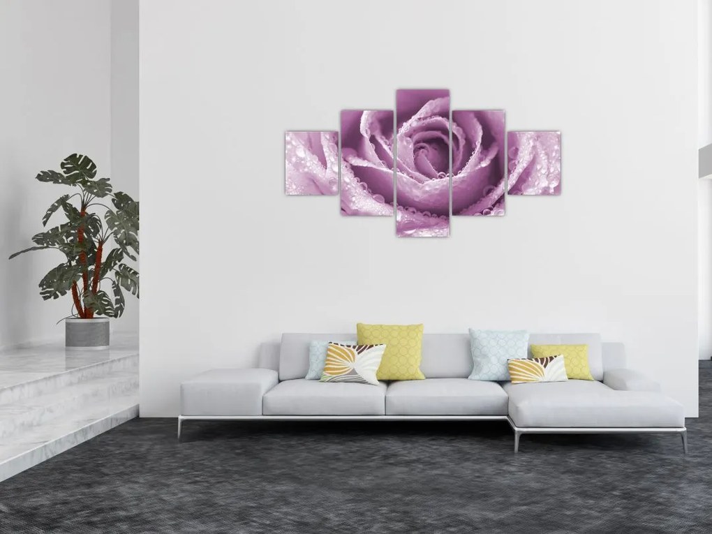 Obraz szczegółu kwiatu róży (125x70 cm)