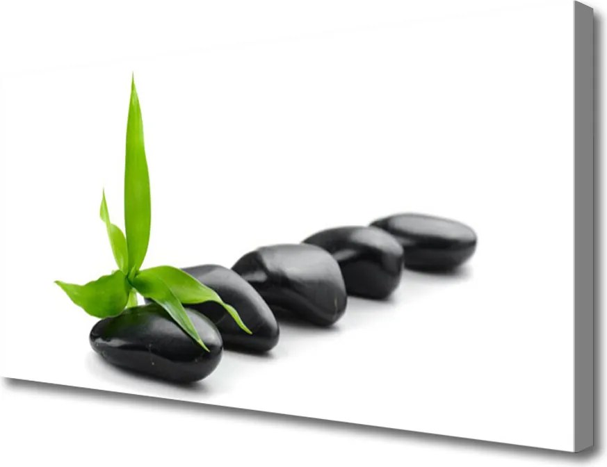 Zdjęcie na płótnie Kompozycja Kamienia i Liścia