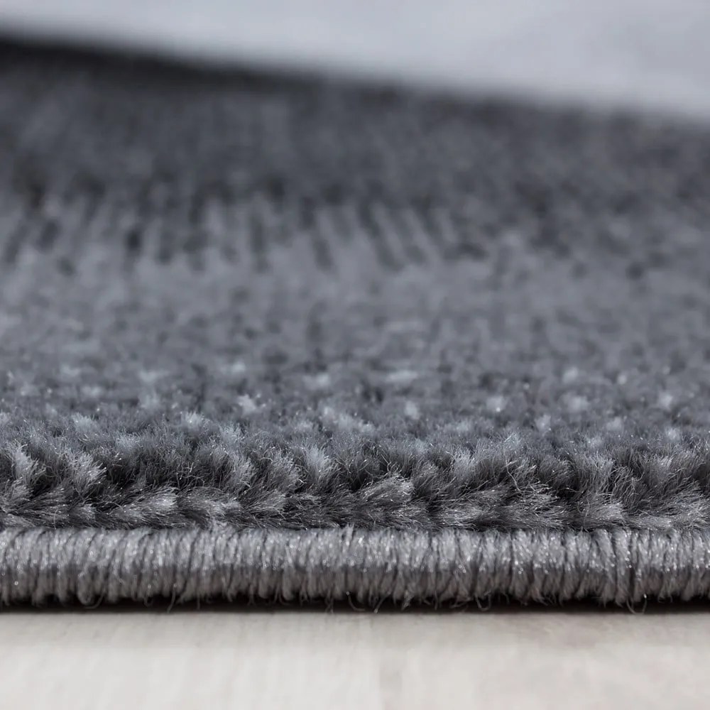 Ciemnoszary dywan 120x170 cm Parma – Ayyildiz Carpets