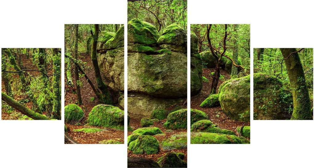 Obraz magicznego lasu (125x70 cm)