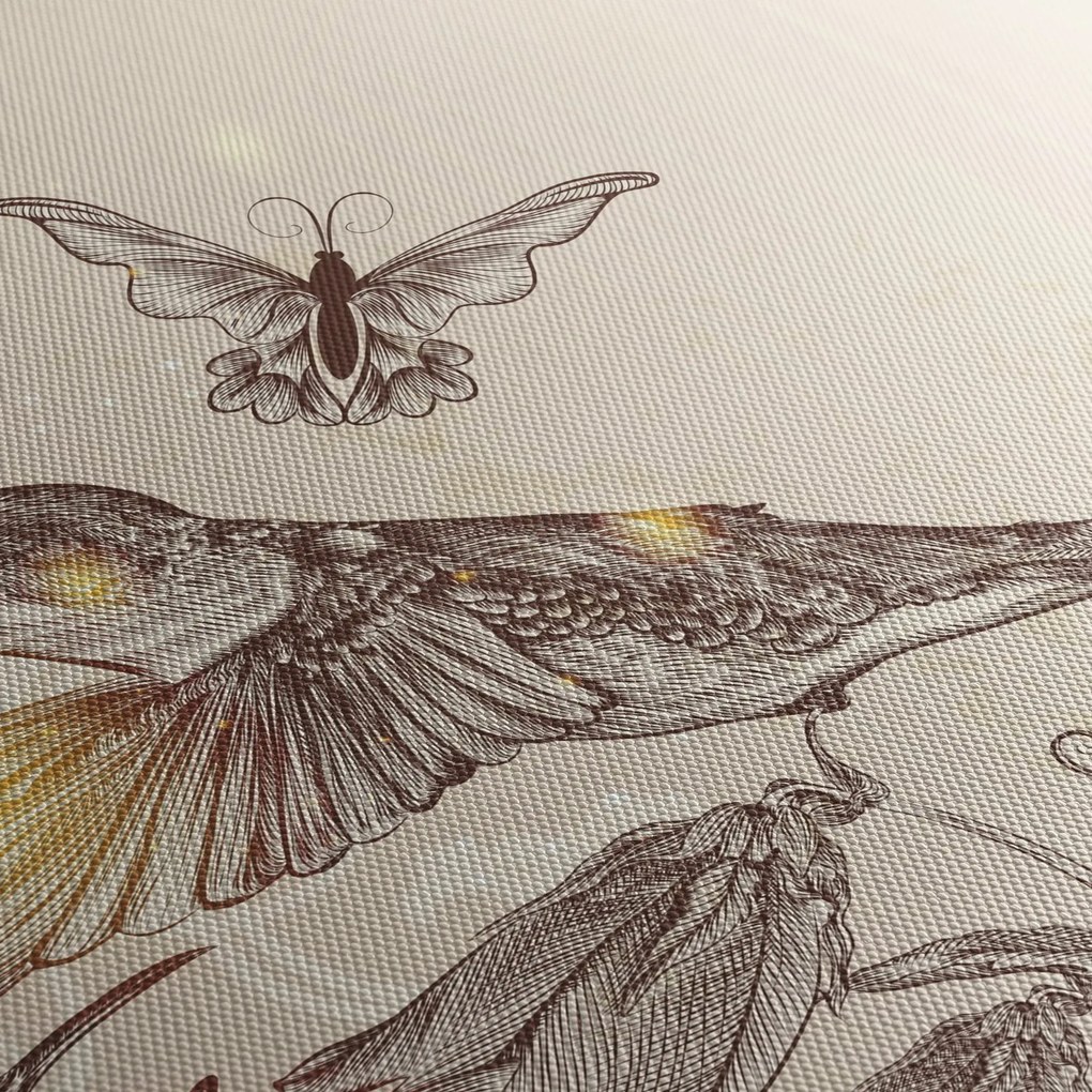 Obraz - Kolibry (70x50 cm)
