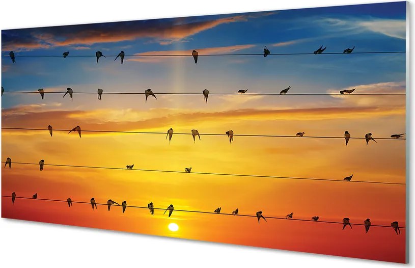 Panel Szklany Ptaki na Drutach o Zmierzchu