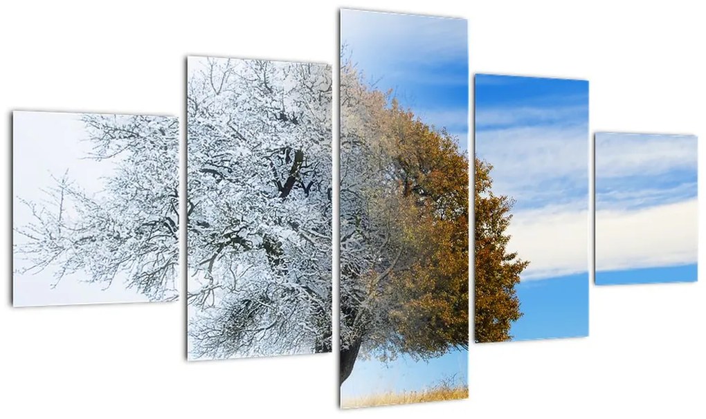 Obraz - Zmiana pór roku (125x70 cm)