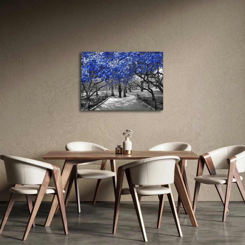 Obraz - Niebieskie drzewa, Central Park, New York (70x50 cm)