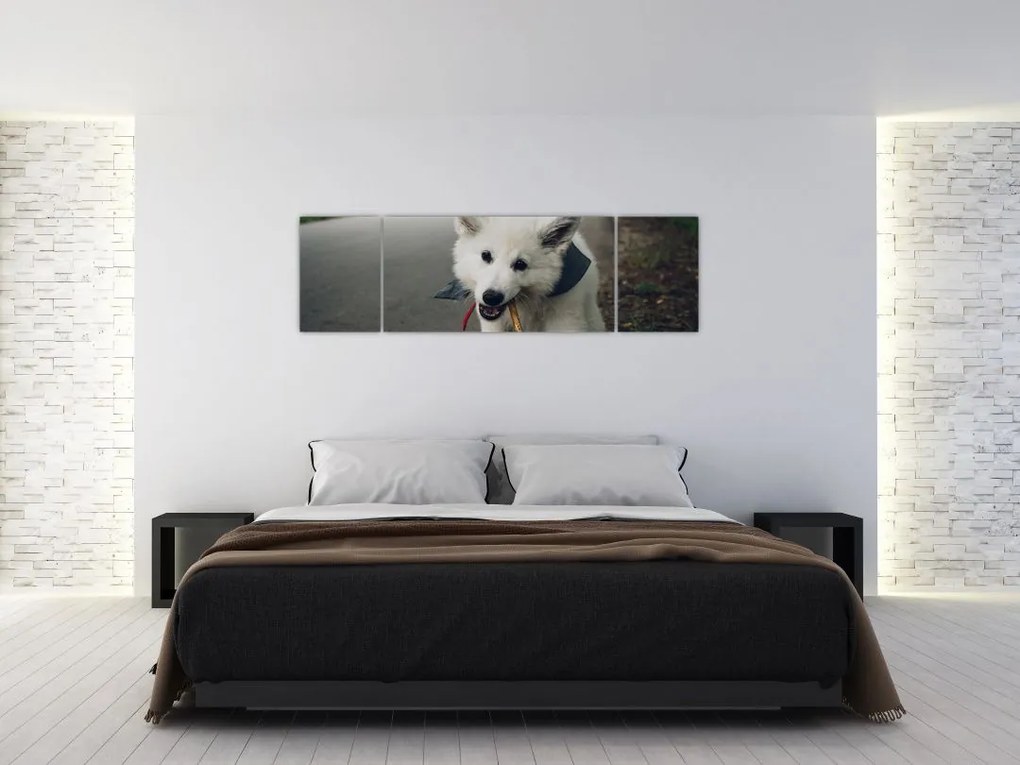 Obraz białego psa (170x50 cm)