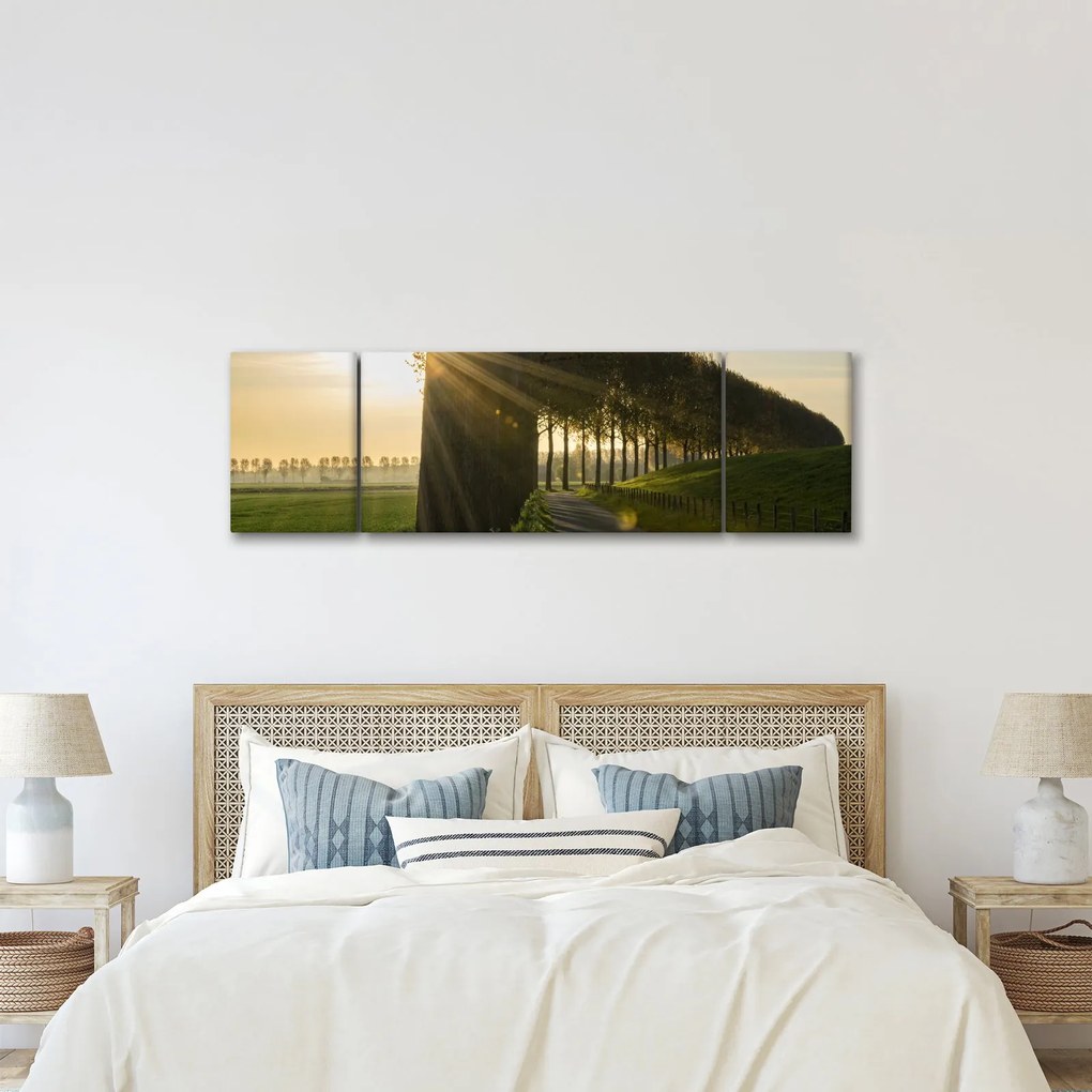 Obraz alei (170x50 cm)