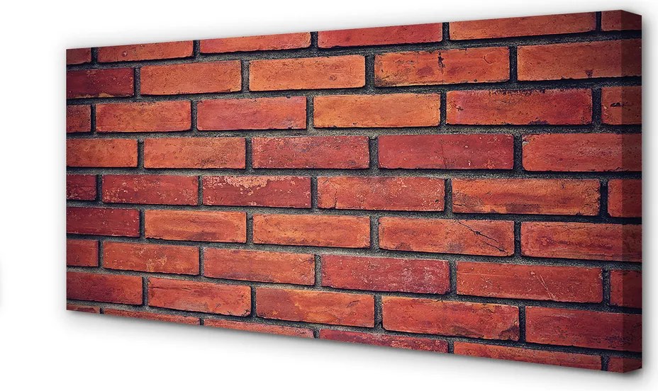 Obraz drukowany na płótnie Mieszany Mur Ceglano-Kamienny