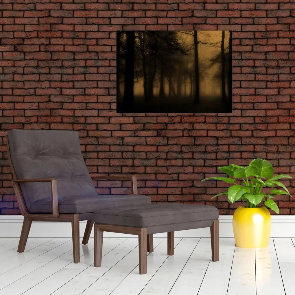 Obraz na szkle - Ciemny las (70x50 cm)