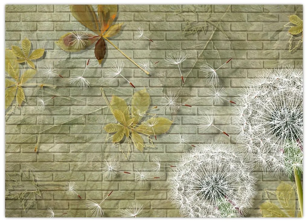 Obraz na szkle - Dmuchawce unoszone wiatrem (70x50 cm)